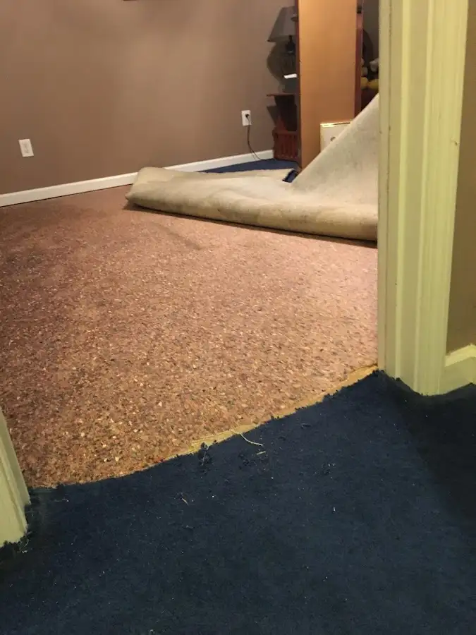 Carpet pad removal revealing water damage during Drying & Dehumidification in Yorkville